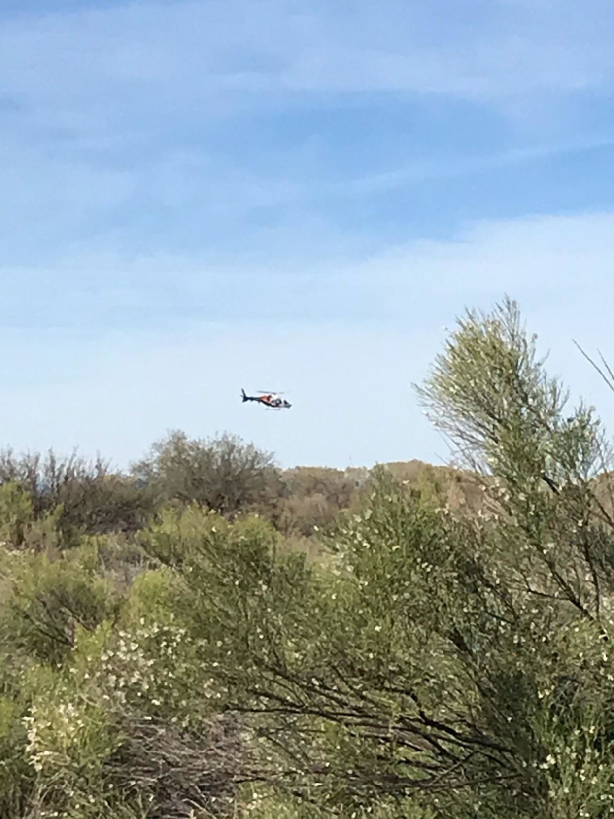 Search for Willa continues with prayer, hope